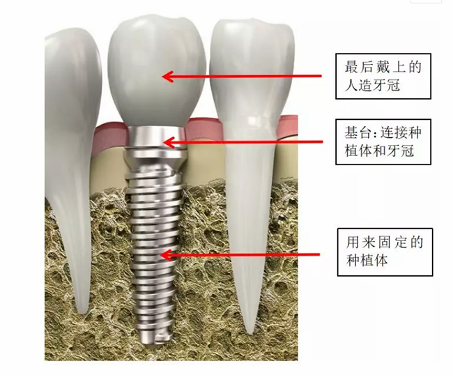 图片58.jpg 图片58.jpg