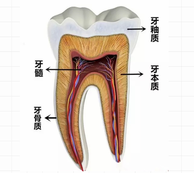 图片62.jpg 图片62.jpg