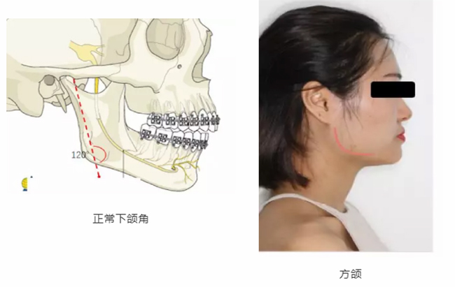 图片71.jpg 图片71.jpg