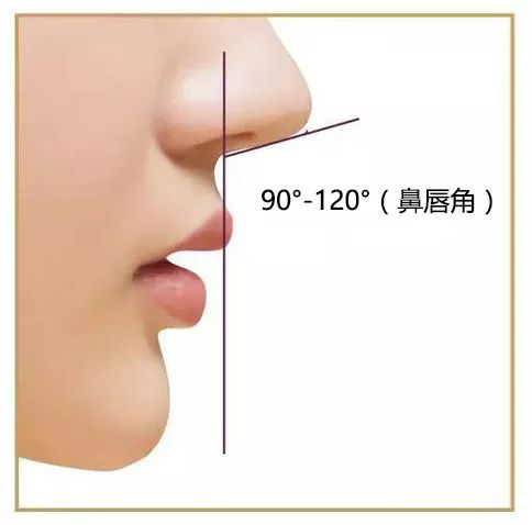 图片14.png 图片14.png