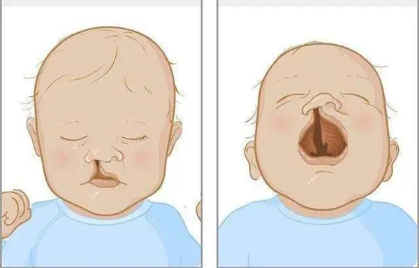 图片55.jpg 图片55.jpg