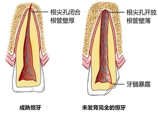 图片5.jpg 图片5.jpg