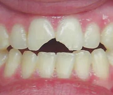 图片6.jpg 图片6.jpg