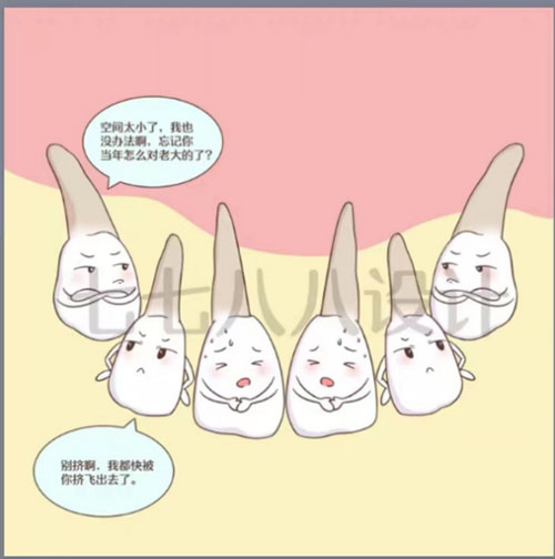 图片14.jpg 图片14.jpg