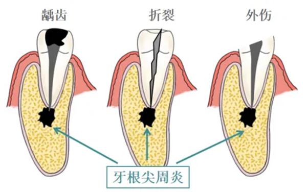 6 (3).png 6 (3).png