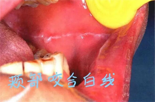 图片 24.jpg 图片 24.jpg
